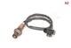 BOSCH Lambda Sensor 2x Fits LAND ROVER Freelander MG Mg Tf 200 95-09 0258006127