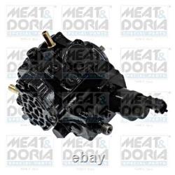 High Pressure Pump Fits CITROEN C5 II FIAT FORD LANCIA LAND ROVER 06-18 1920PH