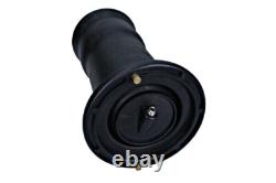 Rear Left Right Air Spring Strut Fits LAND ROVER Discovery II 98-04 RKB101200